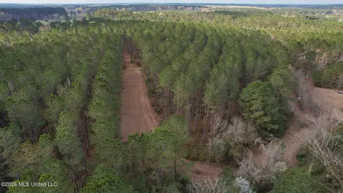 Frog Ridge Road, Jayess, MS 39641 photo 49