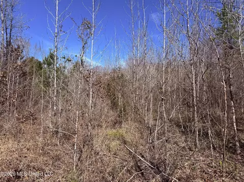 0 Morrison Rd, Utica, MS 39175 photo 10