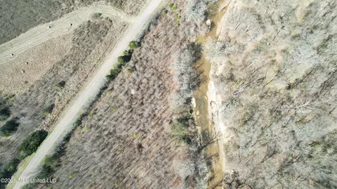 0 Morrison Rd, Utica, MS 39175 photo 2