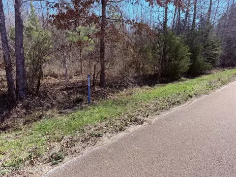 0 Morrison Rd, Utica, MS 39175 photo 4