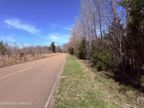 0 Morrison Rd, Utica, MS 39175 photo 3