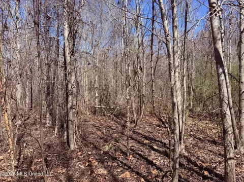 0 Morrison Rd, Utica, MS 39175 photo 8