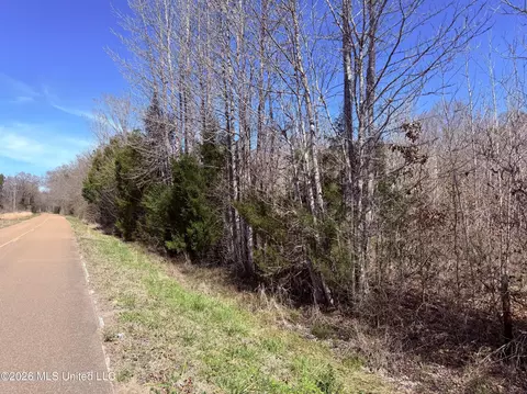 0 Morrison Rd, Utica, MS 39175 photo 13