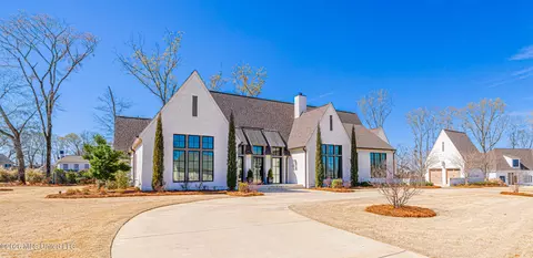 Exterior - 297 Ashworth Cir, Madison, MS 39110 photo 2 of 28