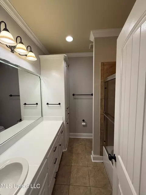 Bath - 539 Turtle Ln, Brandon, MS 39047 photo 3 of 5