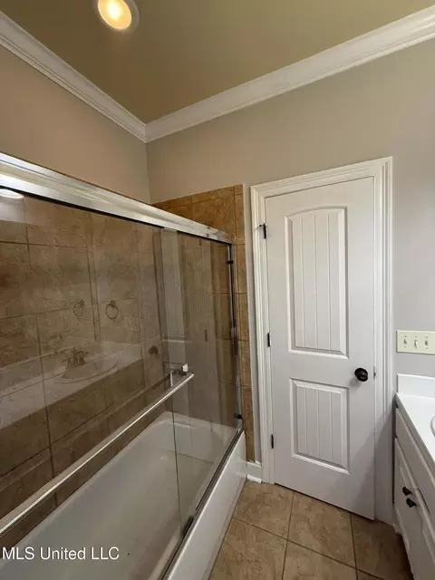 Bath - 539 Turtle Ln, Brandon, MS 39047 photo 4 of 5