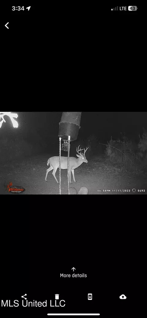 0 Broad St, Georgetown, MS 39078 photo 8