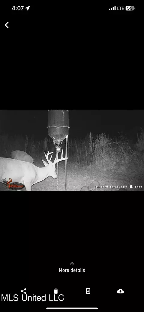 0 Broad St, Georgetown, MS 39078 photo 7