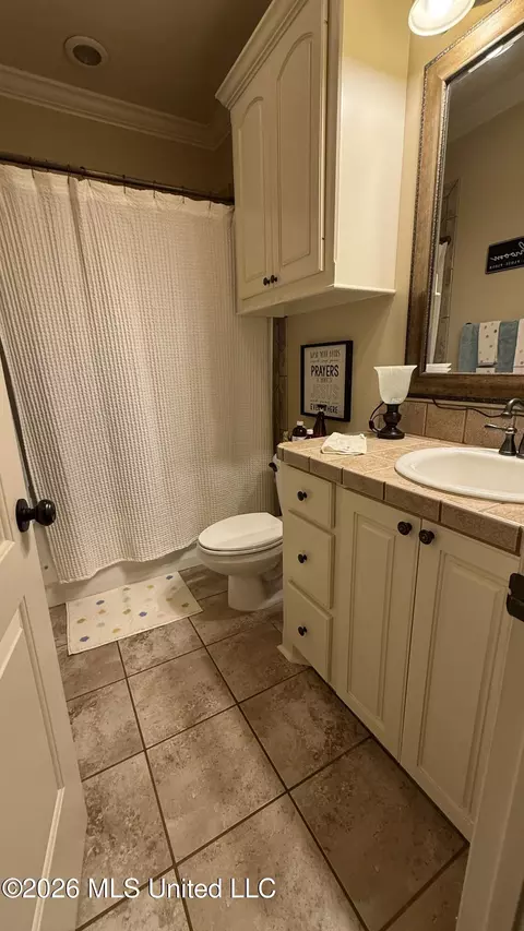Bath - 403 N Haven Ct, Brandon, MS 39047 photo 4 of 4