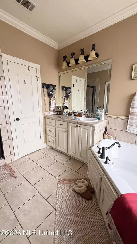 Other - 403 N Haven Ct, Brandon, MS 39047 photo 5 of 11
