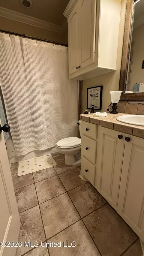 Bath - 403 N Haven Ct, Brandon, MS 39047 photo 3 of 4