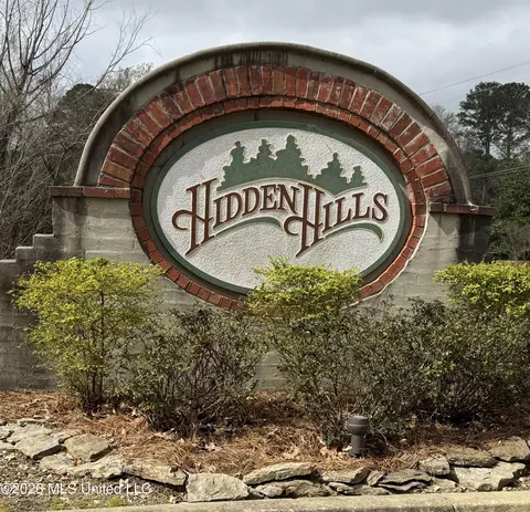 Other - 403 N Haven Ct, Brandon, MS 39047 photo 11 of 11
