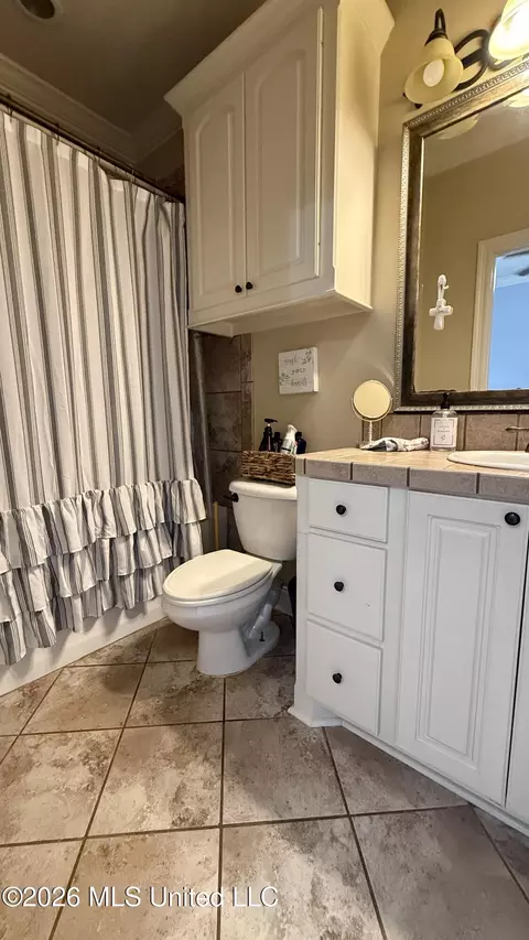 Bath - 403 N Haven Ct, Brandon, MS 39047 photo 2 of 4