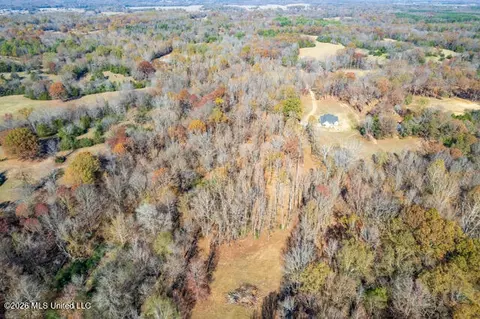 Brewer Road, Batesville, MS 38606 photo 6