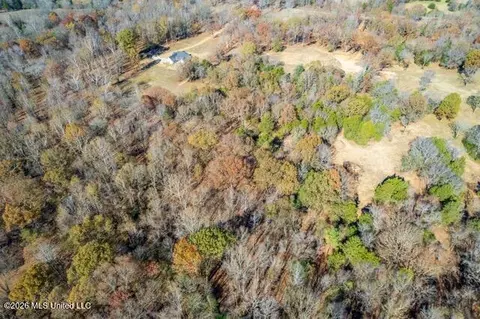 Brewer Road, Batesville, MS 38606 photo 16