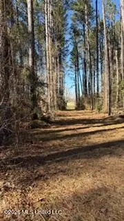 5192 Bean Rd, Liberty, MS 39645 photo 29