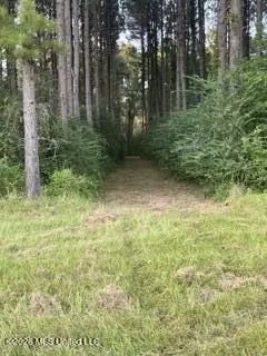 5192 Bean Rd, Liberty, MS 39645 photo 27