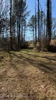 5192 Bean Rd, Liberty, MS 39645 photo 30