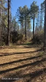 5192 Bean Rd, Liberty, MS 39645 photo 28