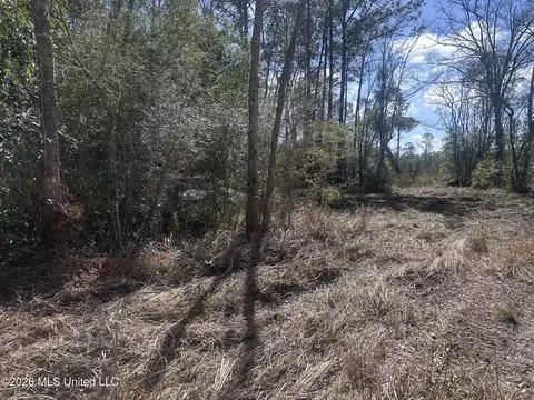Orange Grove Road, Moss Point, MS 39562 photo 2