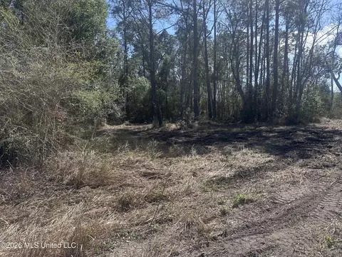 Orange Grove Road, Moss Point, MS 39562 photo 3