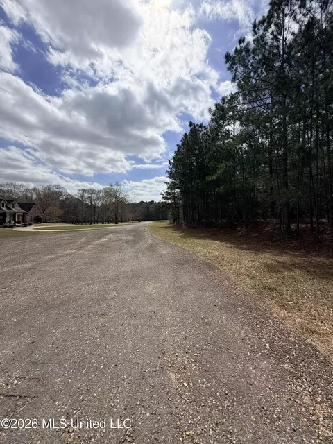 tbd Park Pl, Mccomb, MS 39648 photo 6