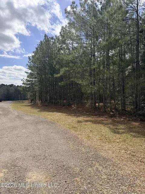 tbd Park Pl, Mccomb, MS 39648 photo 5
