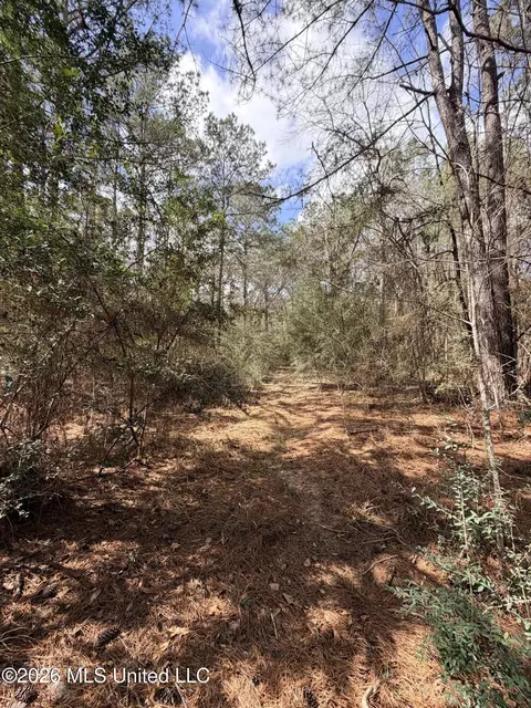 tbd Park Pl, Mccomb, MS 39648 photo 4