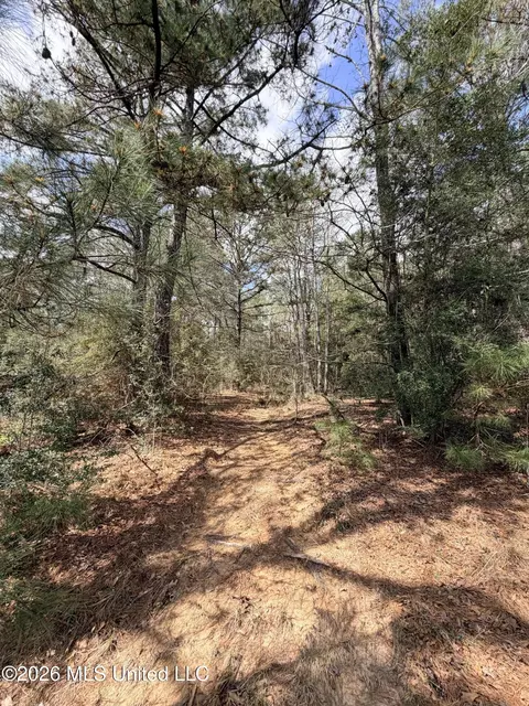 tbd Park Pl, Mccomb, MS 39648 photo 3