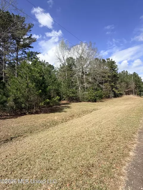 tbd Park Pl, Mccomb, MS 39648 photo 2