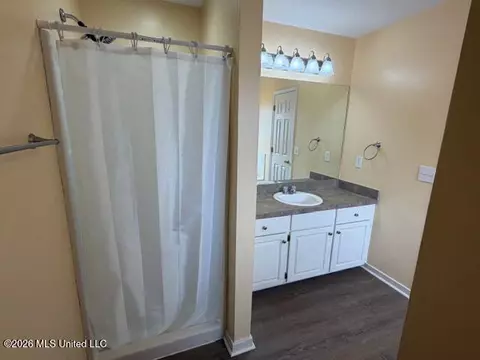 Bath - 602 Madeline Cv, Florence, MS 39073 photo 4 of 5