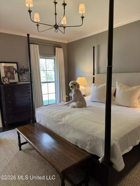 Bedroom - 252 Buckhead Dr, Madison, MS 39110 photo 6 of 6