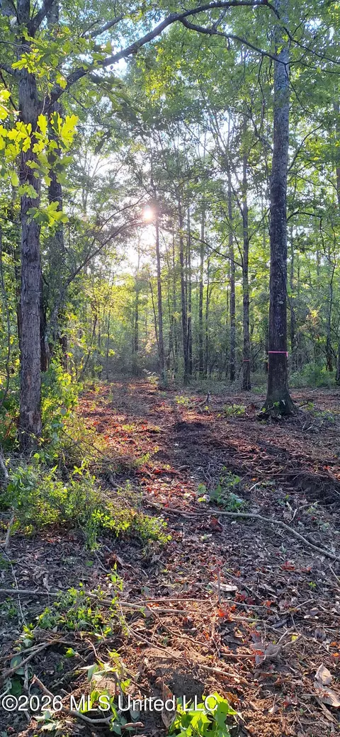 Highway 26, Wiggins, MS 39577