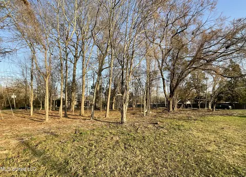 4910 Old Canton Rd, Jackson, MS 39211 photo 3