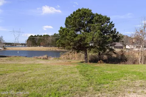 View/Area - 219 Northshore Pl, Madison, MS 39110 photo 4 of 10