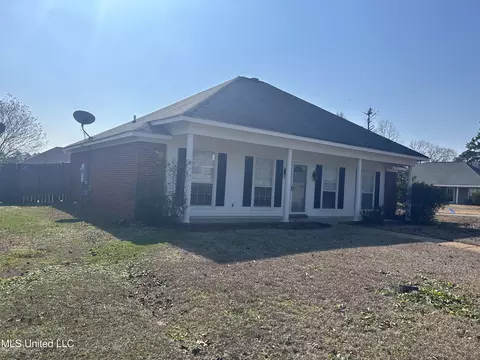 Exterior - 250 August Dr, Brandon, MS 39042 photo 4 of 5