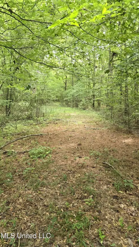 Pearson Road, Stewart, MS 39767 photo 10