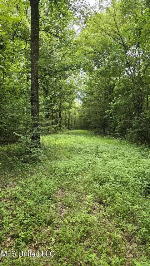 Pearson Road, Stewart, MS 39767 photo 29