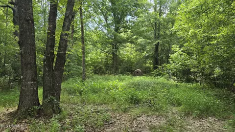 Pearson Road, Stewart, MS 39767 photo 17