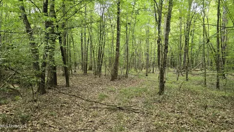 Pearson Road, Stewart, MS 39767 photo 25