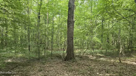 Pearson Road, Stewart, MS 39767 photo 18