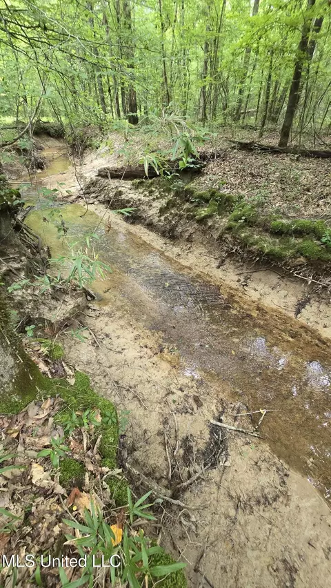 Pearson Road, Stewart, MS 39767 photo 32