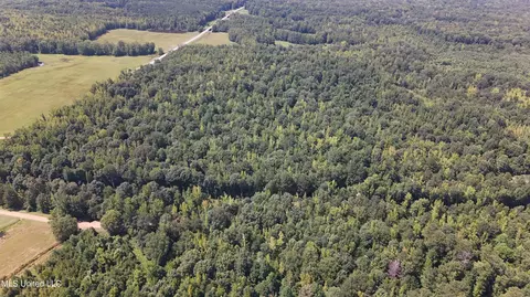 Pearson Road, Stewart, MS 39767 photo 21