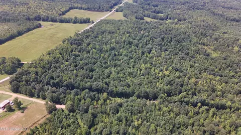Pearson Road, Stewart, MS 39767 photo 22