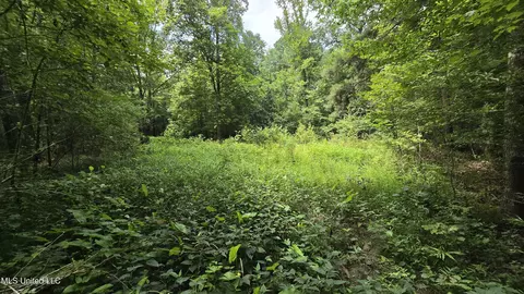 Pearson Road, Stewart, MS 39767 photo 15