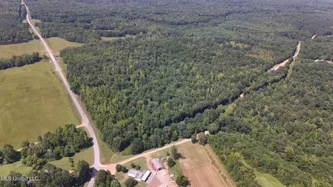 Pearson Road, Stewart, MS 39767 photo 23