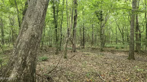 Pearson Road, Stewart, MS 39767 photo 40