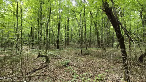 Pearson Road, Stewart, MS 39767 photo 35