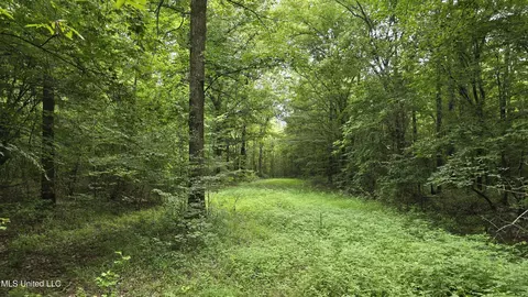 Pearson Road, Stewart, MS 39767 photo 6