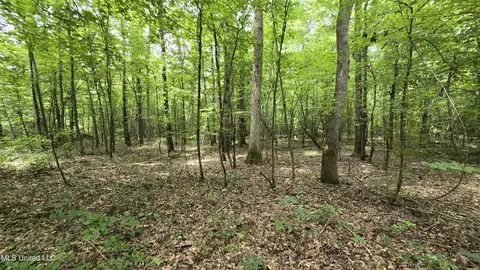 Pearson Road, Stewart, MS 39767 photo 34